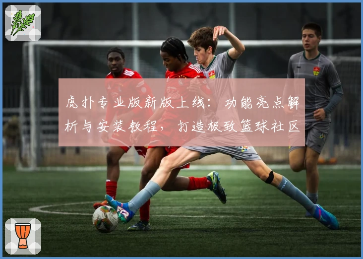 虎扑专业版新版上线：功能亮点解析与安装教程，打造极致篮球社区体验